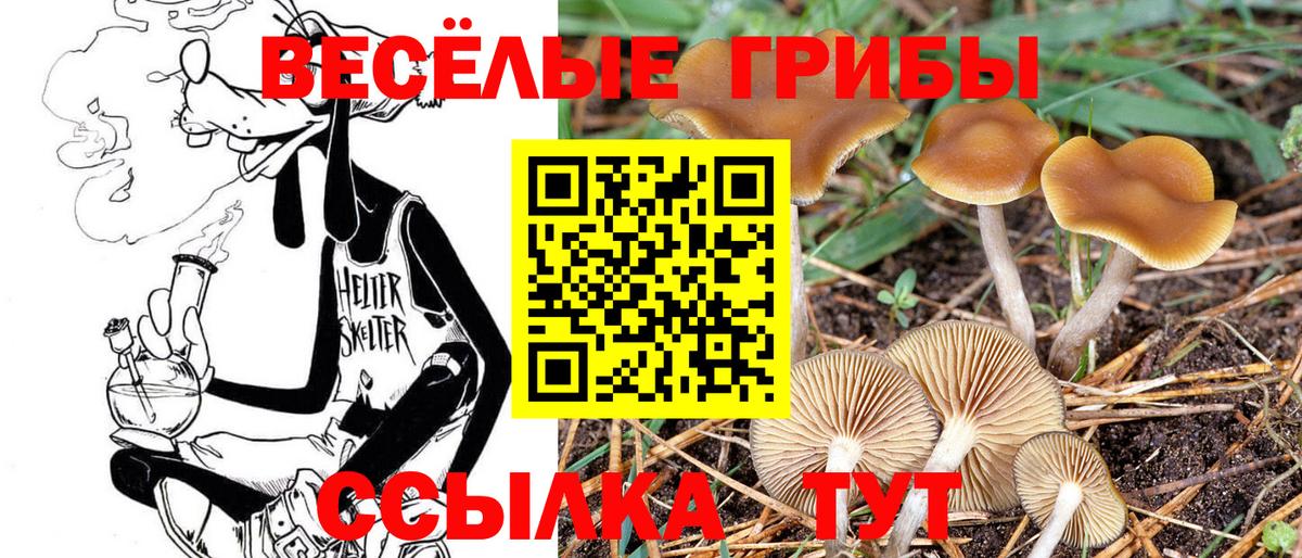 Псилоцибиновые грибы GOLDEN TEACHER  Вход с VPN  Можга 