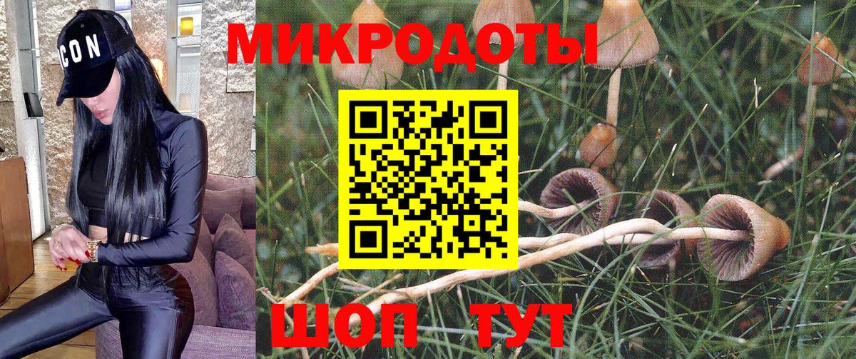 Галлюциногенные грибы мухоморы Можга
